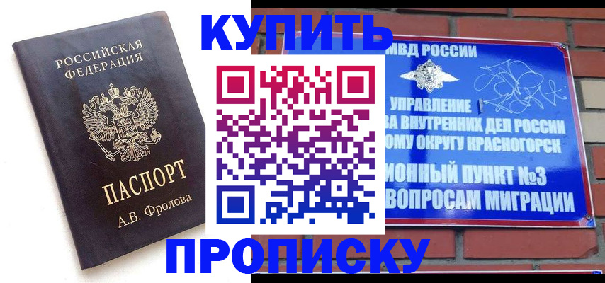 прописка поиск в Ермолино